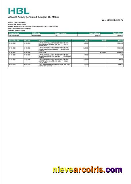 Pakistan HBL account statement Word and PDF